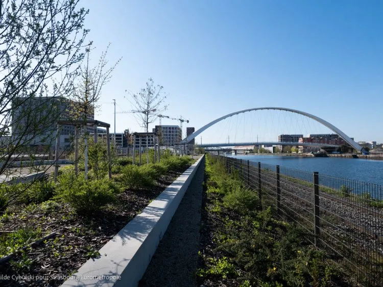 Projet Deux-Rives à Strasbourg : les chantiers de logements neufs en phase active